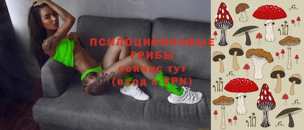 apvp Алексеевка