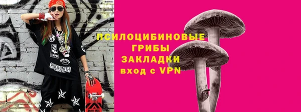 соль ск Алексин