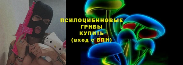 соль ск Алексин