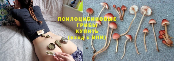 соль ск Алексин